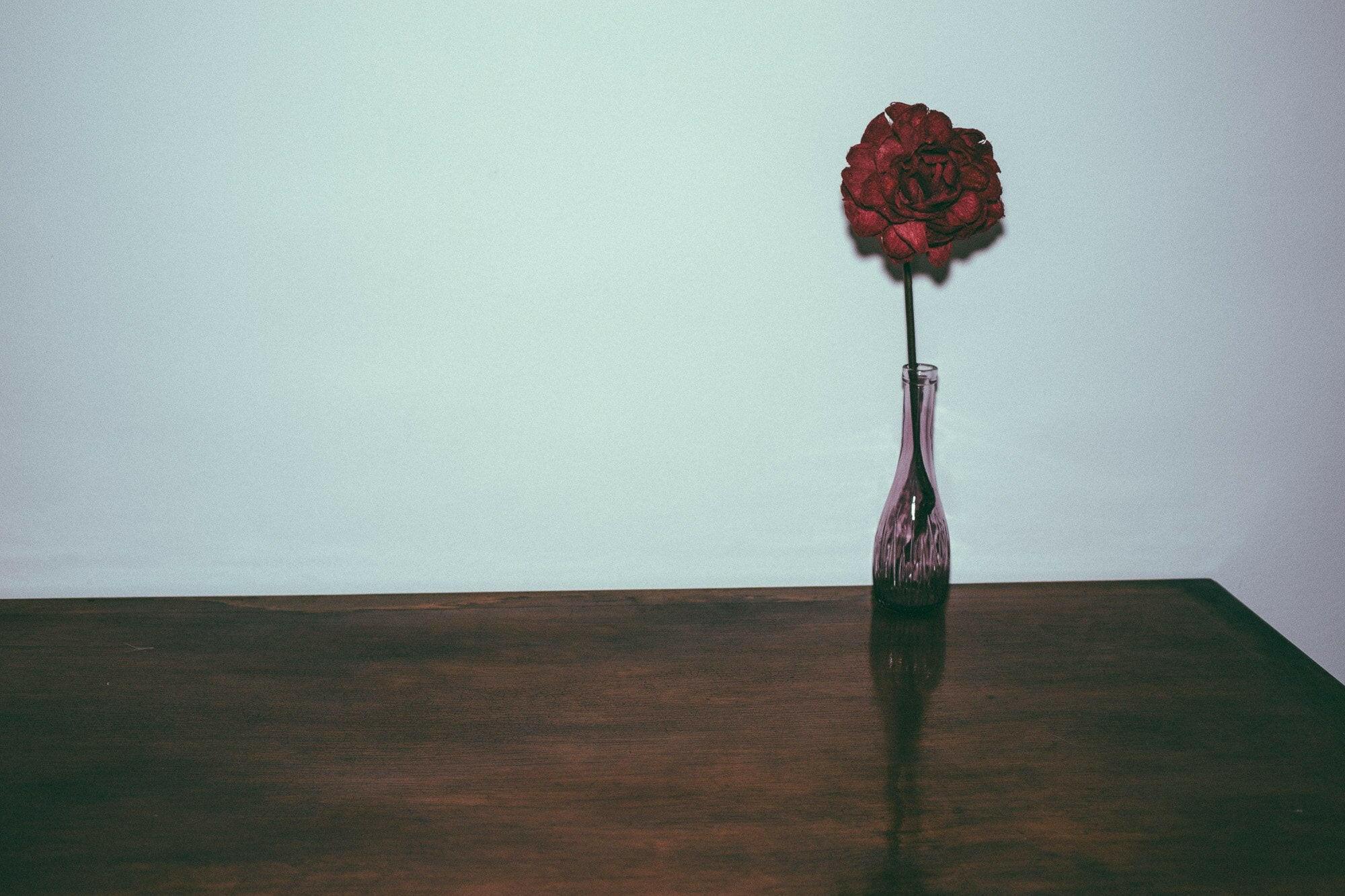 Room 407 Red
