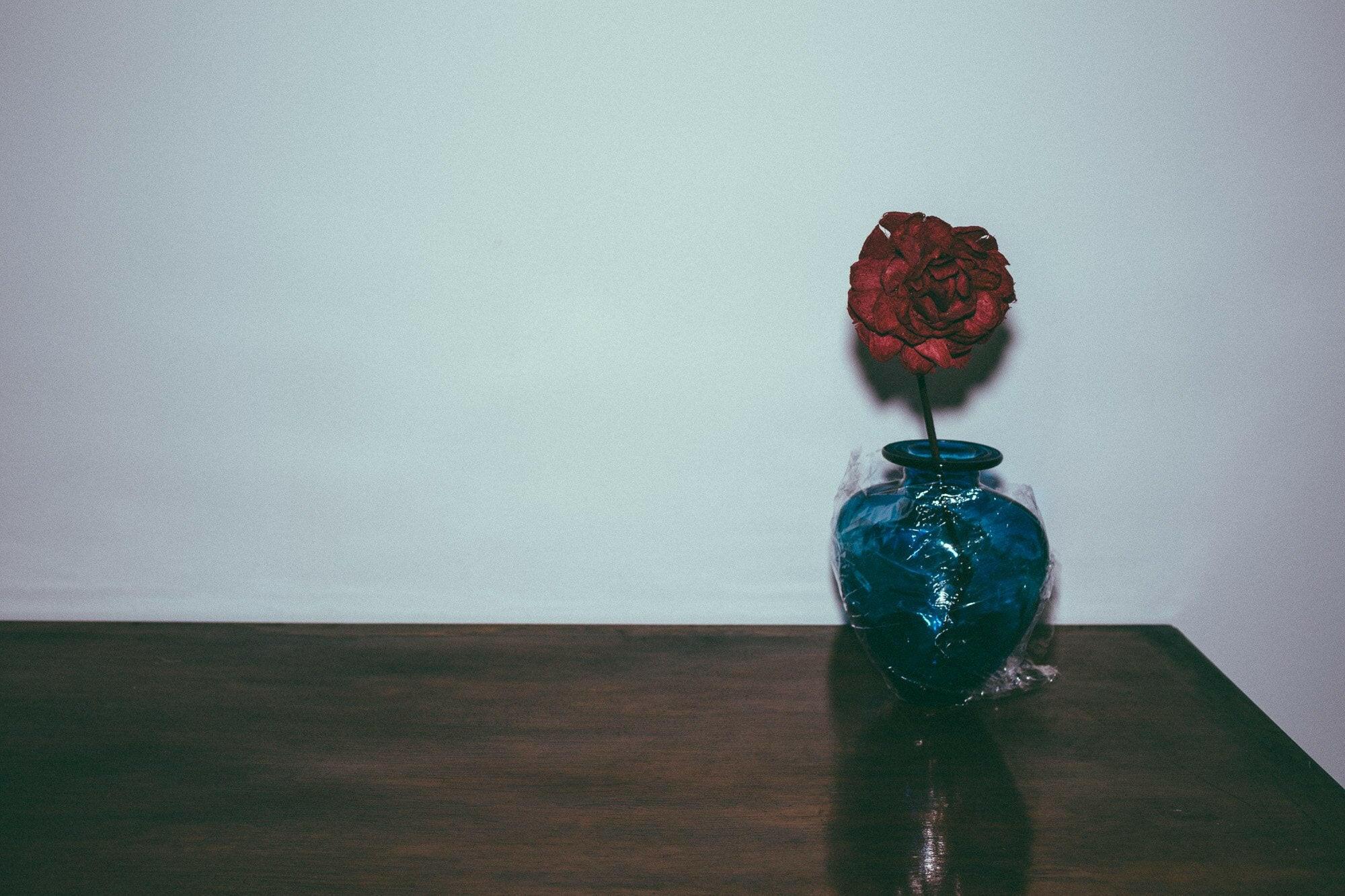 Room 407 red Rose